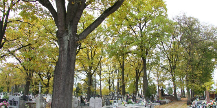 Rudnik nad Sanem: Będą kwestować na ratowanie zabytkowego nagrobka Hofmannów.