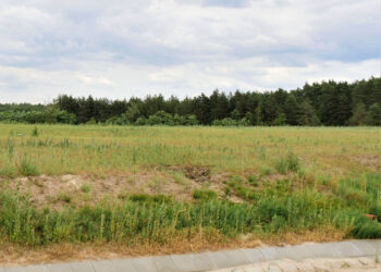 Stalowa Wola: Budowa farmy fotowoltaicznej na osadniku może ruszyć w przyszłym roku