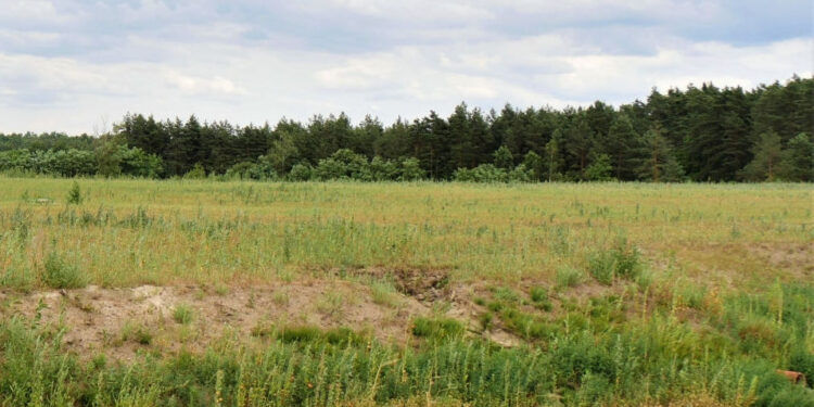 Stalowa Wola: Budowa farmy fotowoltaicznej na osadniku może ruszyć w przyszłym roku