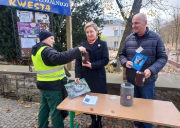 Sandomierz: Ostatni dzień cmentarnej kwesty.