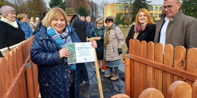 Sandomierz: Potomek dębu „Bartek” upamiętni stulecie „Rolnika”.