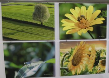 Stalowa Wola: Wyjątkowa wystawa fotograficzna KADRUJEMY 22