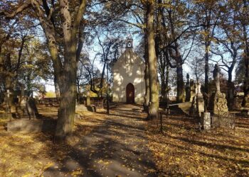 Tarnobrzeg. Kwesta podsumowana. „Wszystko dopisało”.