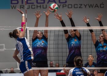 Mielec: Sukcesy mieleckich drużyn