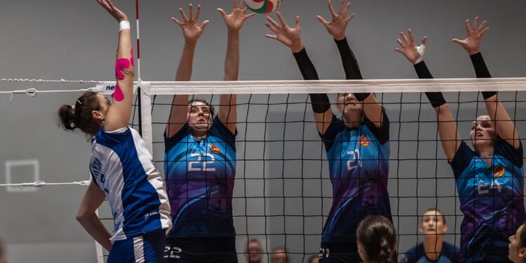 Mielec: Sukcesy mieleckich drużyn