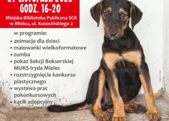 Mielec: Zwierzoteka w MBP.