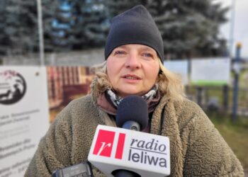 Sandomierz: „Wiślacka Gwiazdka” dla bezdomnych psów.