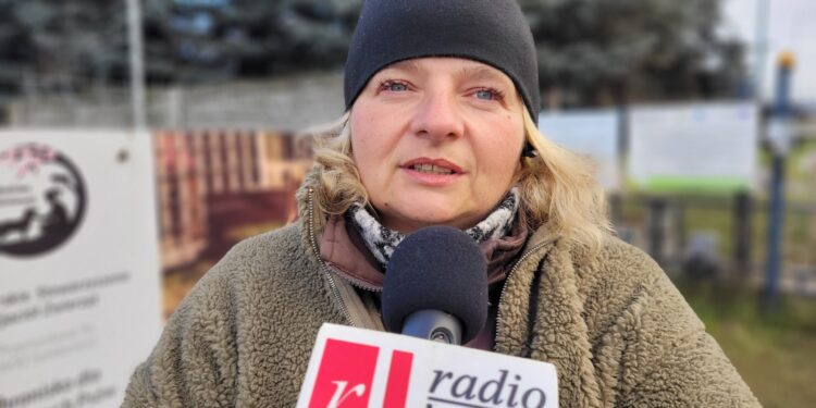 Sandomierz: „Wiślacka Gwiazdka” dla bezdomnych psów.