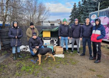 Sandomierz: „Wiślacka Gwiazdka” dla bezdomnych psów.