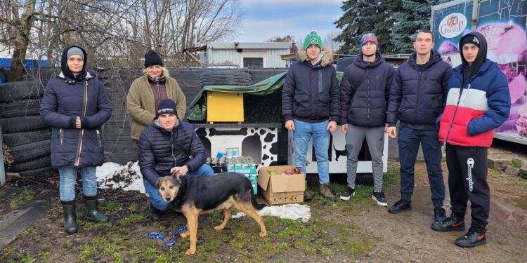 Sandomierz: „Wiślacka Gwiazdka” dla bezdomnych psów.