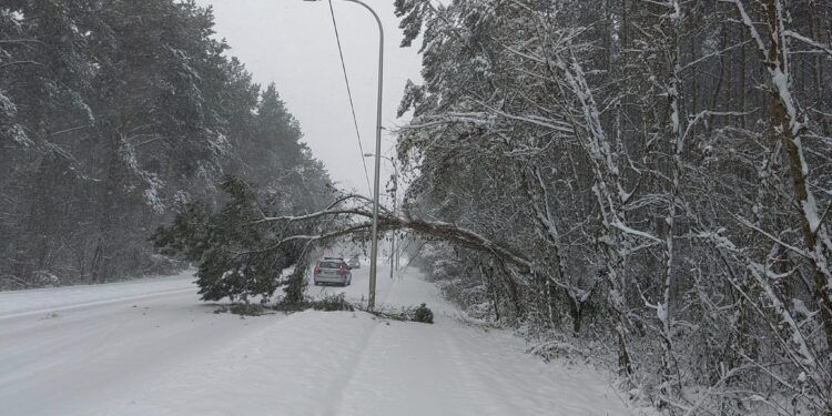 Podkarpacie: Interwencje strażaków.