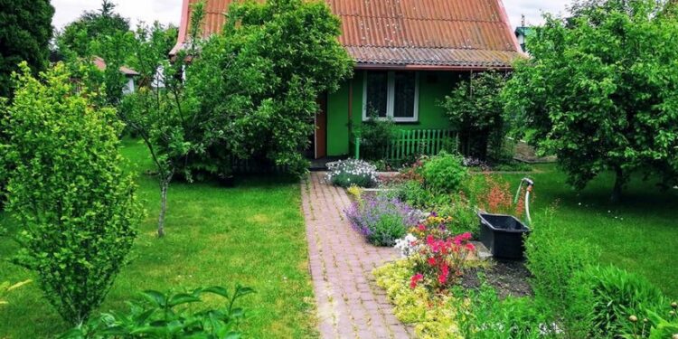 Mielec: Zatrzymali sprawców włamań do altanek działkowych