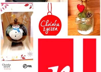 Tarnobrzeg. Charytatywna licytacja. Zjedz uroczysty obiad z muzykami zespołu Feel.