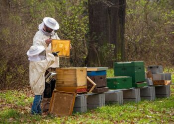 Tarnobrzeg. Podsumowanie Roku Pszczelarzy w Tarnobrzegu.