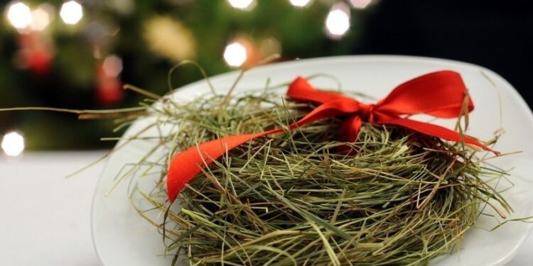 Tarnobrzeg. Sianko na wigilijny stół. Trwa „Choinka Życzeń”.