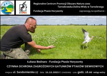 Tarnobrzeg. Ornitolog o zagrożonym gatunku ptaków – siewkowatych.