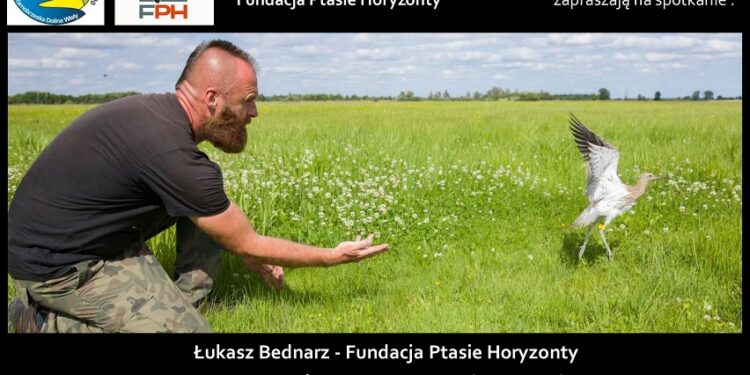 Tarnobrzeg. Ornitolog o zagrożonym gatunku ptaków – siewkowatych.