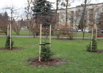Mielec:  Zielone Płuca Miasta Mielca