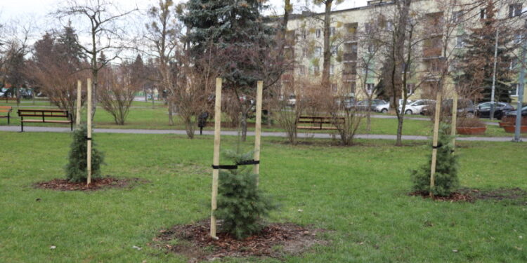 Mielec:  Zielone Płuca Miasta Mielca