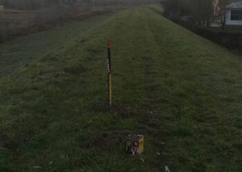 Sandomierz: Koszmarny sylwester dla psów ze schroiska.