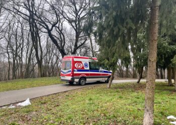 Tarnobrzeg: Strażacy i ratownicy pomagali mężczyźnie na skarpie