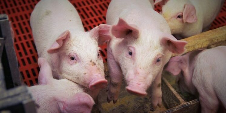 Mielec:  Z trzeciej do drugiej strefy…