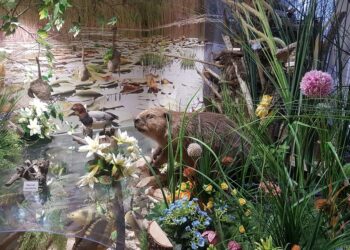 Tarnobrzeg. Zimowa laba  z Centrum Natura 2000.