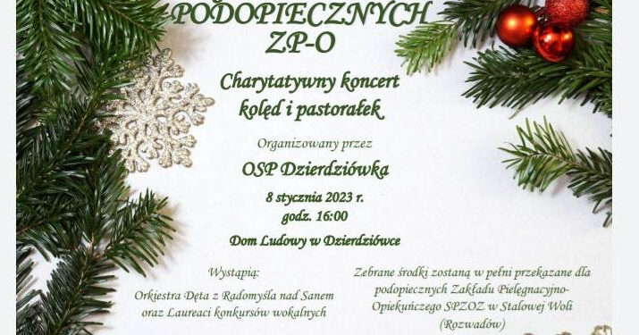 Nisko: Gmina z ambitnym budżetem na 2023 rok