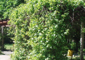 Stalowa Wola: Strażacy w Powiecie Stalowowolskim doczekają się lepszej łączności