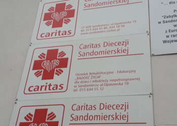 Sandomierz, Wilczyce: Caritas Diecezji Sandomierskiej prosi o pomoc dla Aldony Świątek z Wilczyc.
