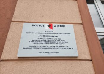 Sandomierz: Młode Białe Orły wezmą udział w symbolicznych uroczystościach.