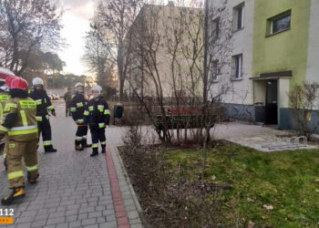 Gorzyce: W mieszkaniu ulatniał się tlenek węgla – na szczęście zadziałał czujnik