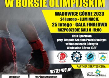 Mielec:  Boks w gminie Wadowice Górne