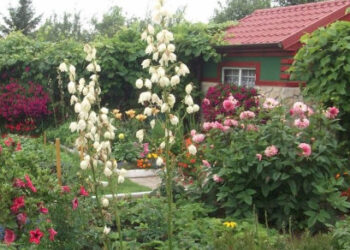 Stalowa Wola: ARP wybuduje Akcelerator Przemysłowy