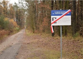 Nowa Dęba. Szybciej do strefy i krajówki