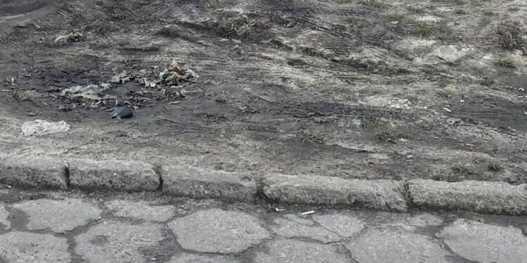 Stalowa Wola: Oferty na modernizację podwórka przy Metalowców i Żeromskiego droższe