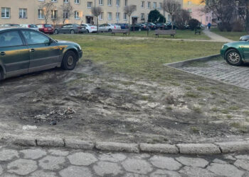 Stalowa Wola: Ruszył przetarg na przebudowę trzech dużych podwórek przyblokowych