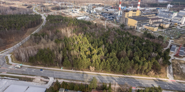 Stalowa Wola: Ruszył konkurs na koncepcję nowego osiedla na ulicy Energetyków