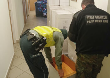 Region: Wykryto  ponad 500 tys. tabletek na potencję