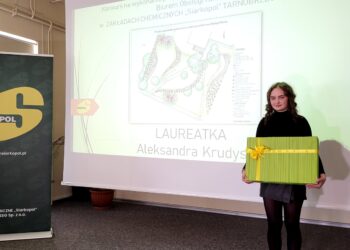 Tarnobrzeg. Tak powinien wyglądać teren przy biurze Zakładów Chemicznych Siarkopol