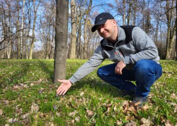 Tarnobrzeg. Nastała wiosna