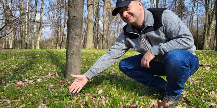 Tarnobrzeg. Nastała wiosna