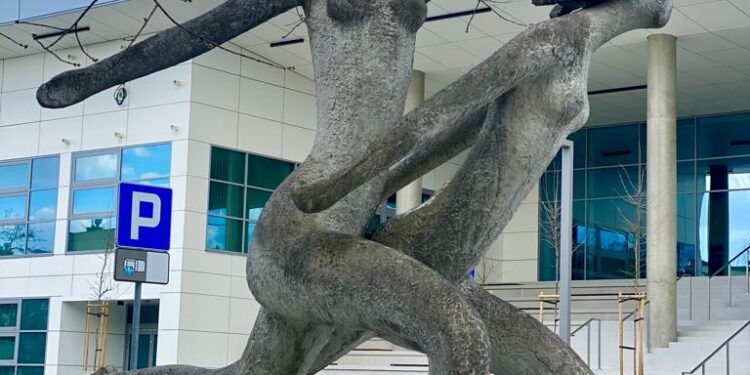 Mielec: „Biegaczki” zostaną wyremontowane