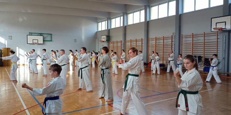 Mielec: 40 lat karate w Mielcu…