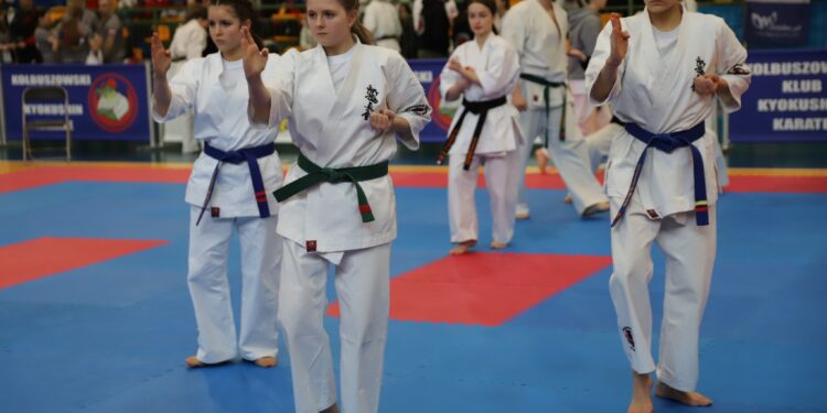 Mielec:  Mielec zamienił się w stolicę karate