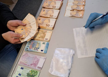 Region: Bieszczadzki Oddział SG rozbił międzynarodową grupę przestępczą