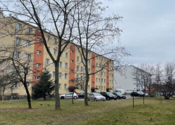 Mielec: Wernisaż wystawy poplenerowej