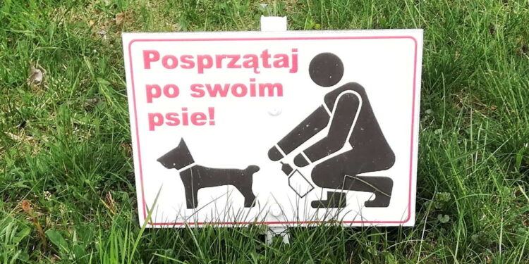 Mielec: O psach i ich właścicielach