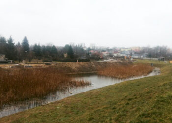 Stalowa Wola: Prace na ulicy  Działkowej i budowa zbiornika retencyjnego przy skarpie