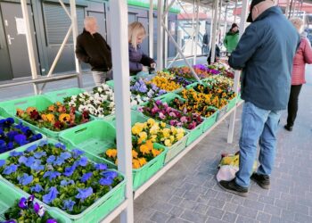 Stalowa Wola: Bezpłatne bilety na eliminacje do Mistrzostw Europy Piłki Nożnej kobiet
